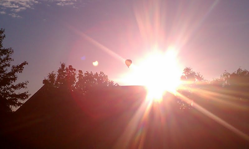 IMAG0537