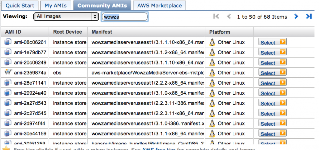 Starting Wowza on EC2