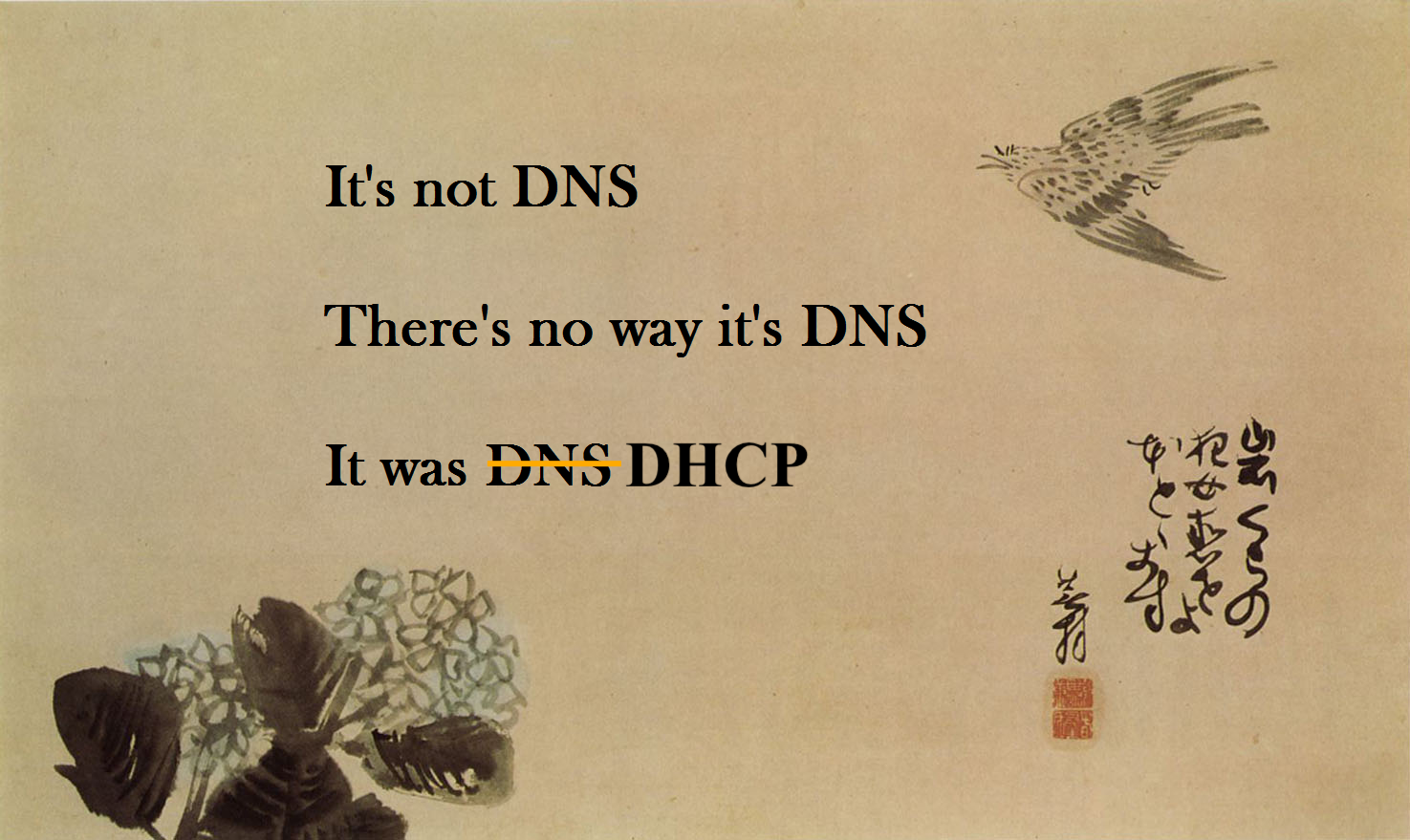 it-s-always-dns-or-dhcp-the-canerdian